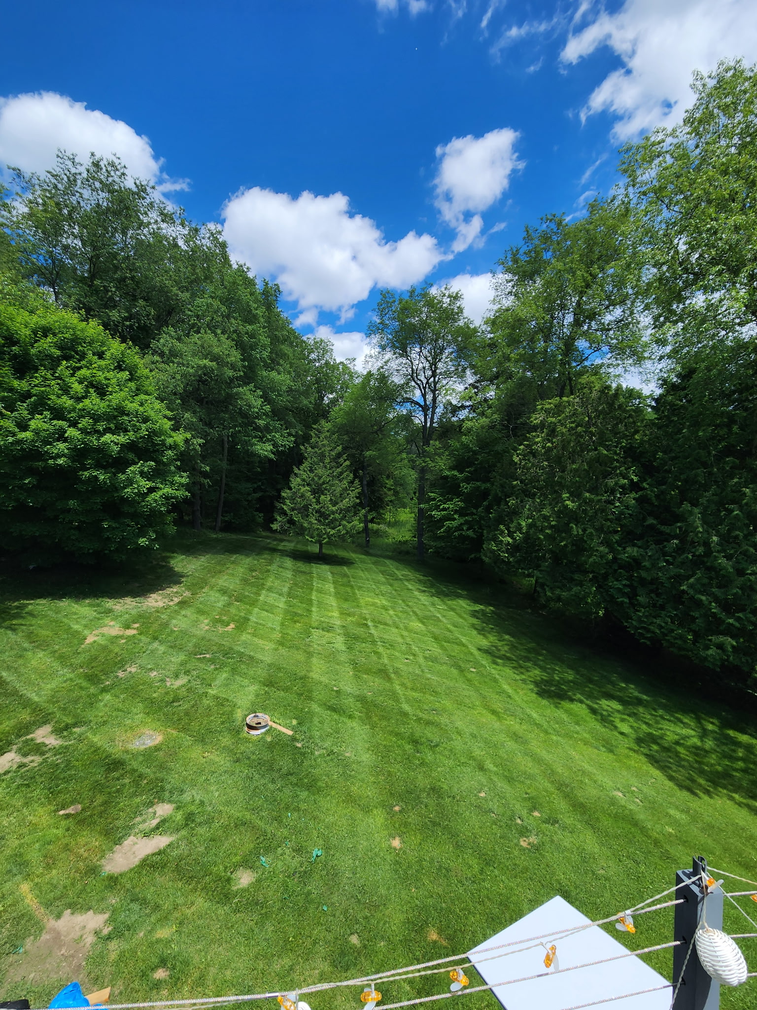 Backyard lawn with crisp mowing stripes under a bright blue sky