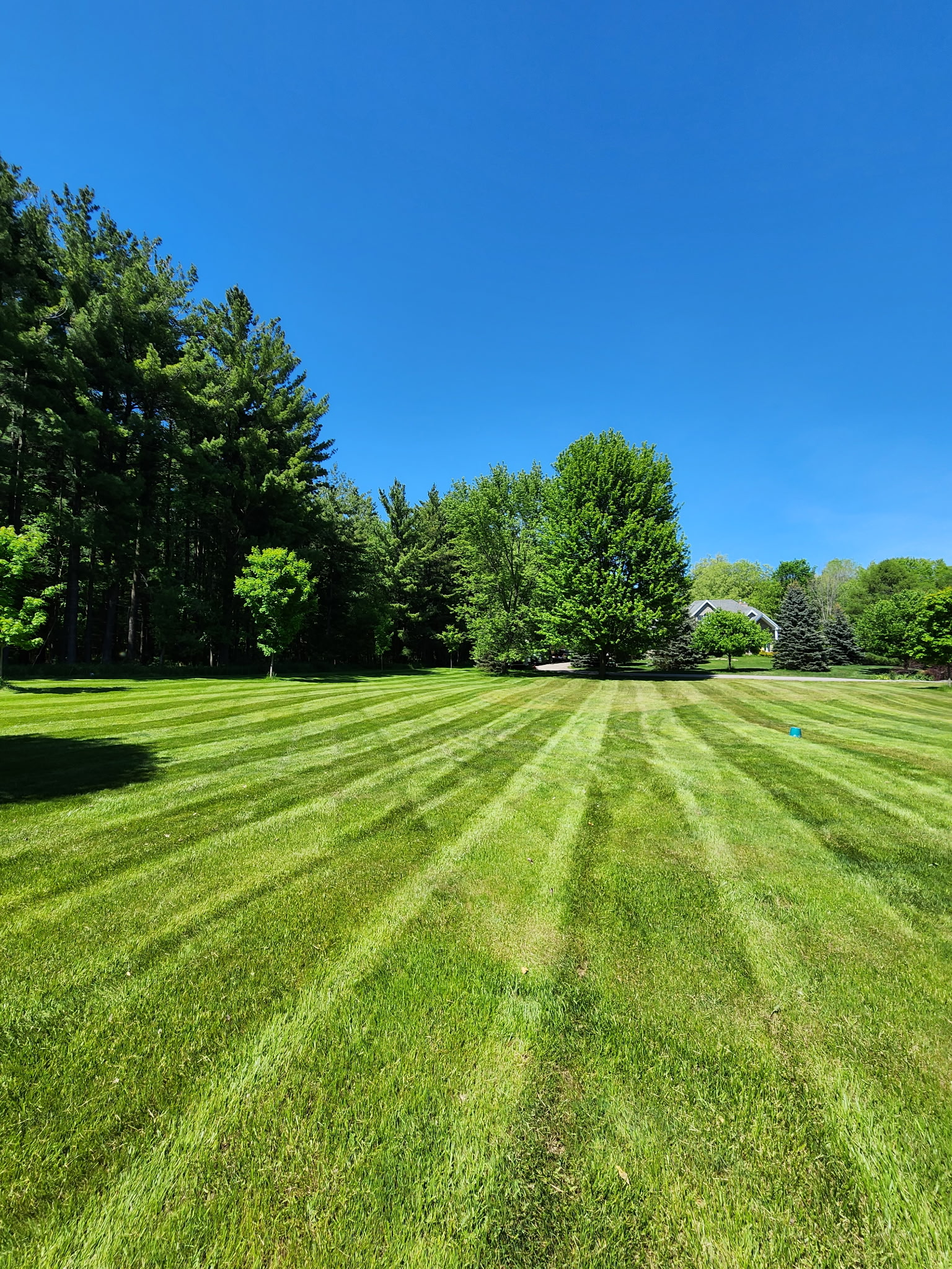 Large estate lawn with bold mowing stripes and a clean tree line