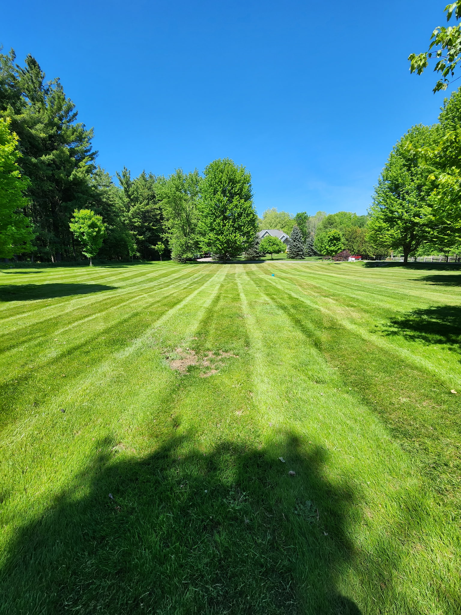 Large estate lawn with clean, even mowing stripes running to the tree line