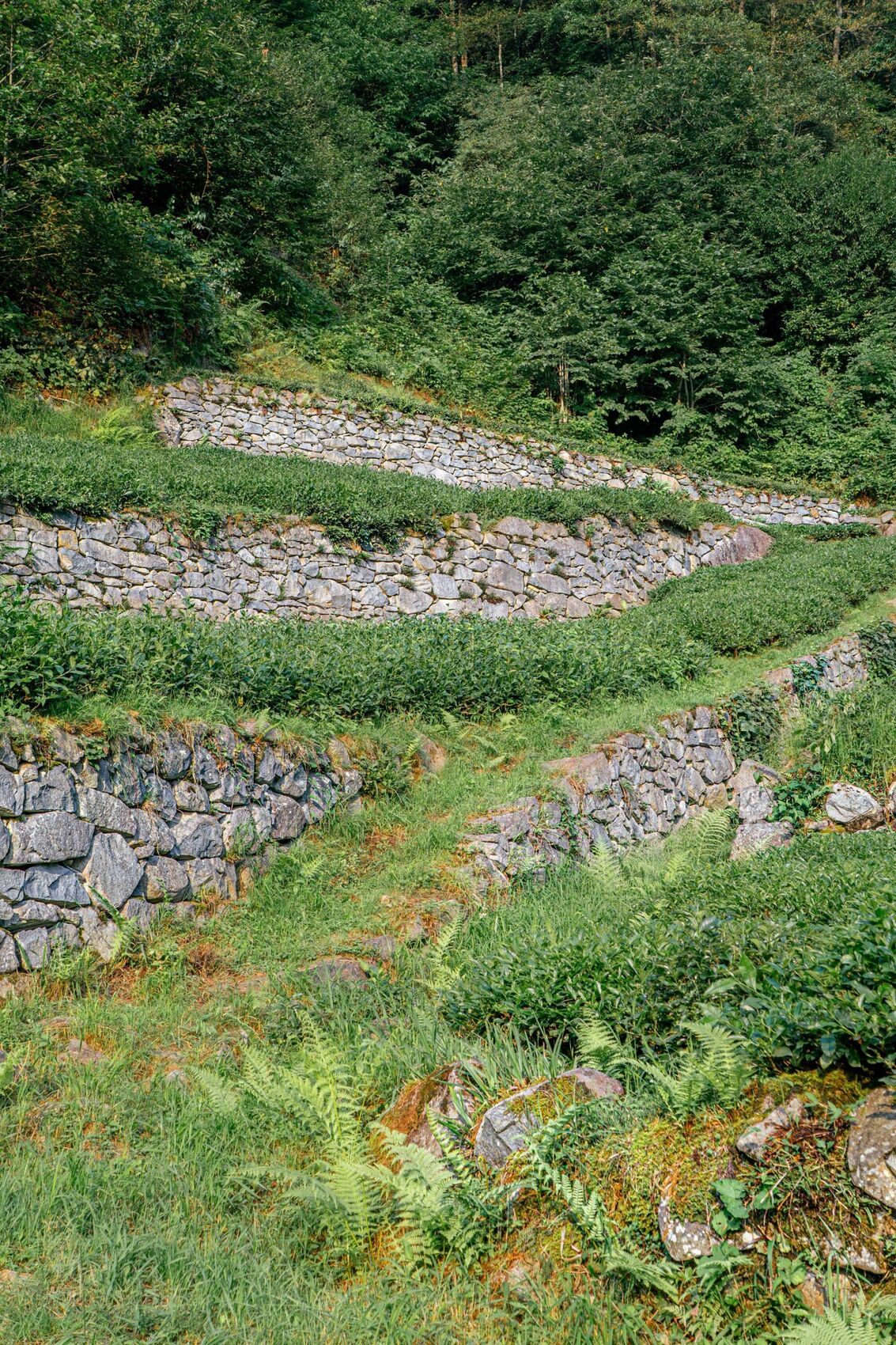 Terraced natural stone retaining walls holding graded planting beds on a sloped property