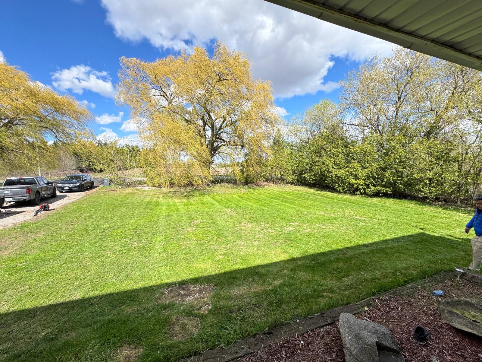 The same yard cleared, cleaned, and freshly cut with clean mowing stripes