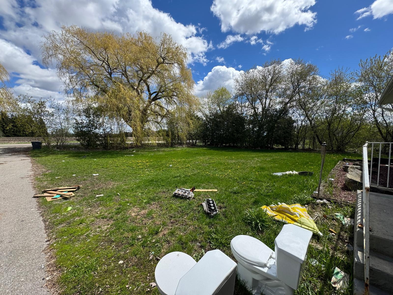 Overgrown yard littered with junk and debris before a property reset