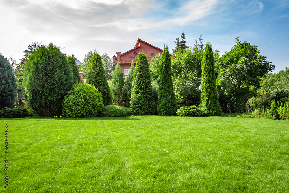 Freshly maintained green lawn with professional striping and clean edges
