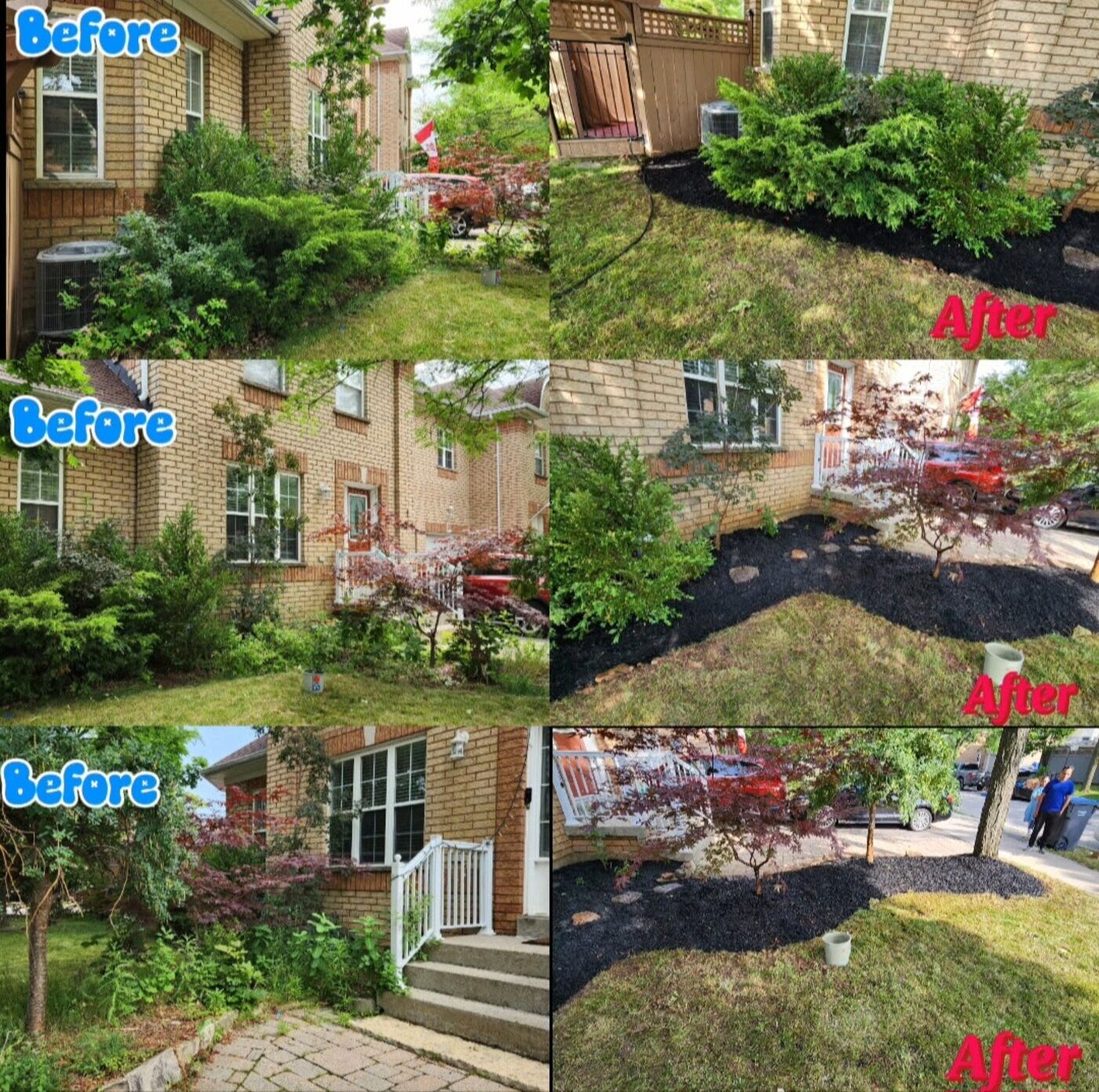 Before and after of overgrown front garden beds cut back, re-edged and mulched