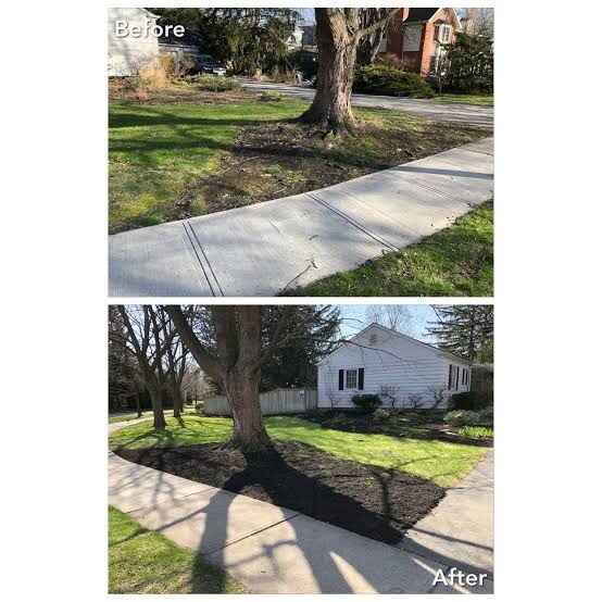 Before and after of a bare front yard with new bed lines and mulch installed