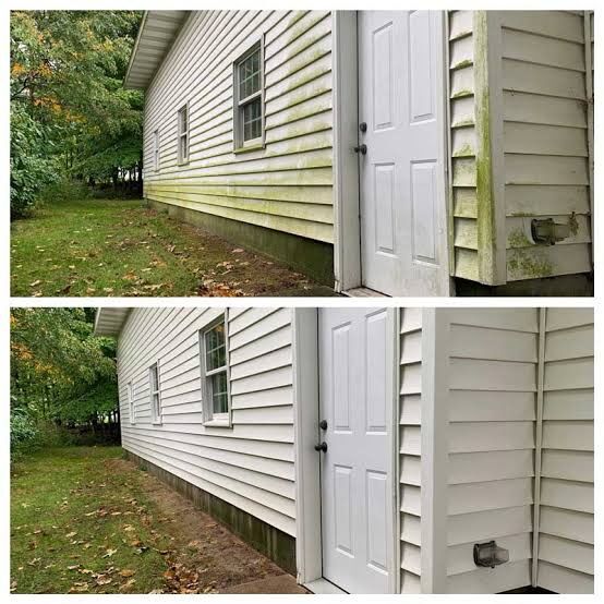 Before and after of algae-covered siding soft washed clean